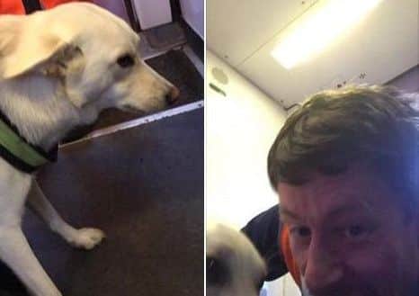 Train driver Ross Scott shared this post on Facebook after resucing Echo