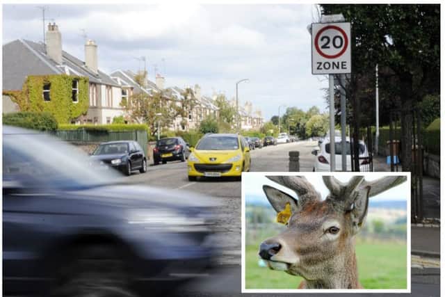 A deer has been spotted running down Queensferry Road. Picture: TSPL