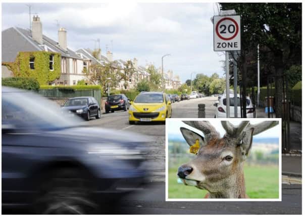 A deer has been spotted running down Queensferry Road. Picture: TSPL