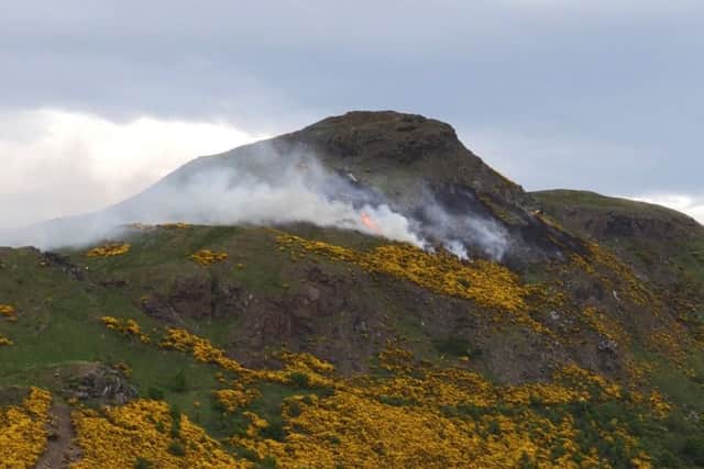 A wildfire which spread across Arthur's Seat in Edinburgh was tackled by around 30 firefighters.
