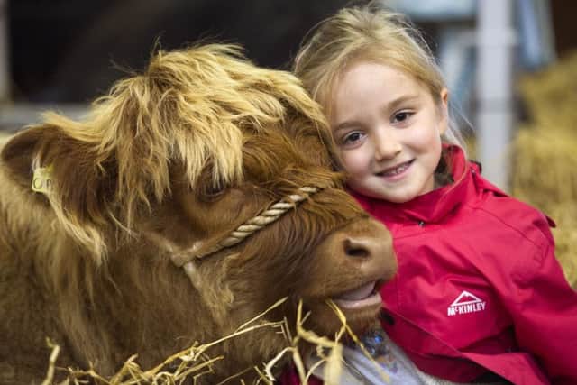 The Royal Highland Show is a firm favourite on the Edinburgh Calendar. Picture: Ian Rutherford