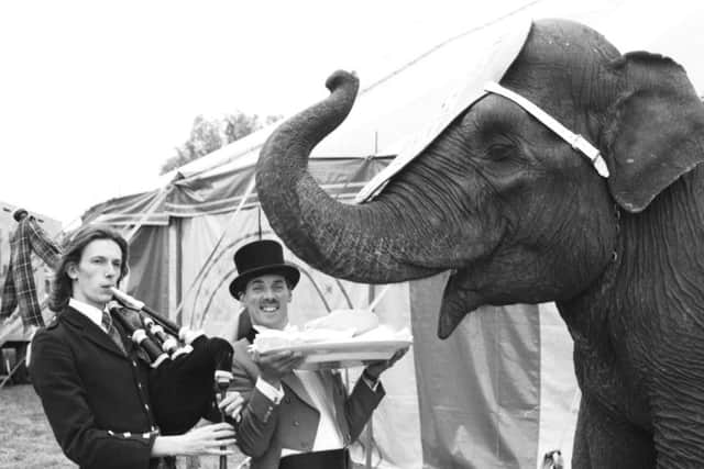 Continental Circus Berlin's ringmaster Chris Balthrop gives Rani the elephant a dish of haggis, her favourite food, at Murrayfield ice rink in Edinburgh July 1992. Piper not identified.