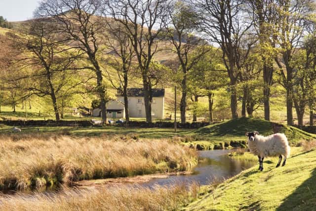The Howe is in a secluded beauty spot but is less than 13 miles from Edinburgh