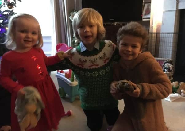 Levi the runaway tortoise and Lesley Macdonald's children. Picture: Contributed