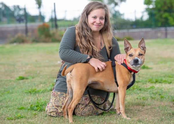 Dogs trust freedom project, Veronica with Staffie, Roxy