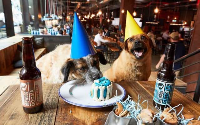 Brew Dog are to offer dog parties.