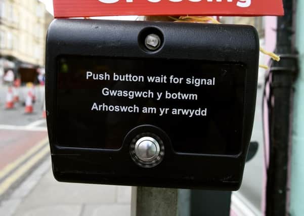 A temporary crossing buttons at the roadworks in Rodney Street has Welsh instructions. Picture: Lisa Ferguson
