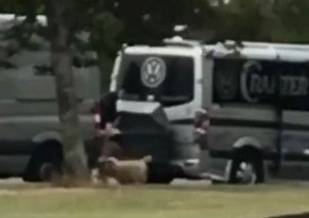 Grainy footage showed two dogs being put into a box.