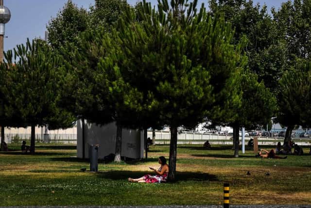 A woman sits in the shade of a pine tree to protect herself from the sun, in Lisbon. Temperatures have hit near record levels. Picture; Getty