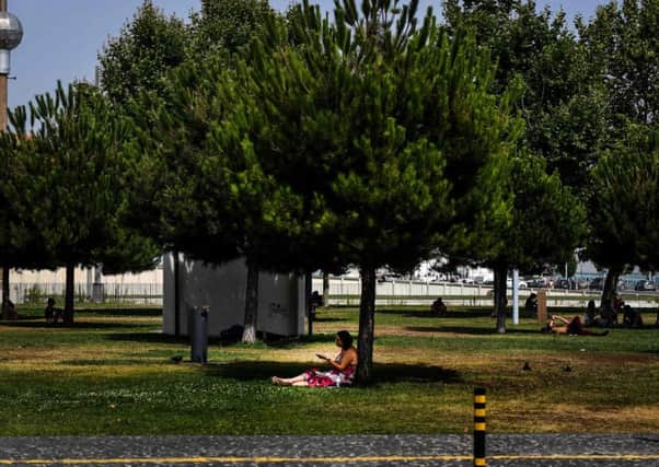 A woman sits in the shade of a pine tree to protect herself from the sun, in Lisbon. Temperatures have hit near record levels. Picture; Getty