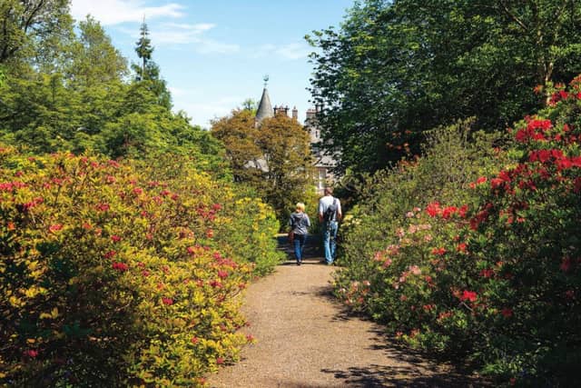 The Azalea Terrace at Dawyck Botanic Garden