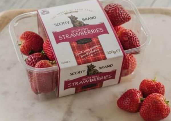Scotty Brand are giving away free strawberries and raspberries in Edinburgh today. Picture: Scotty Brand
