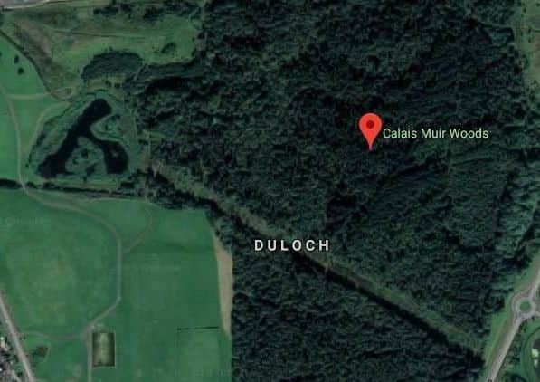 The woman's body was found in Calais Muir Woods. Picture: Google