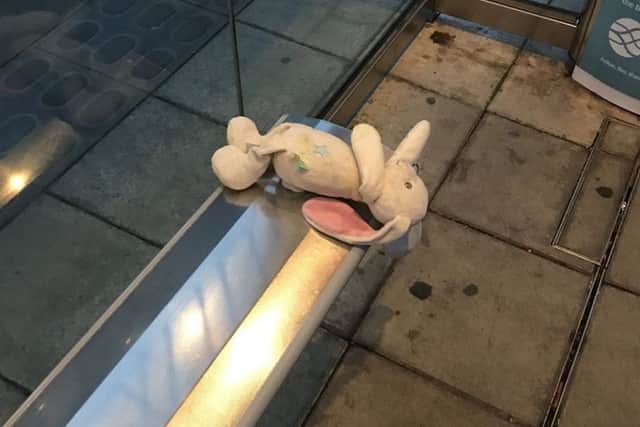 The rabbit was found at an Edinburgh tram stop.