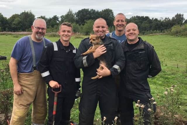 Firefighters rescued the dog trapped in a rabbit burrow. Picture; contributed.