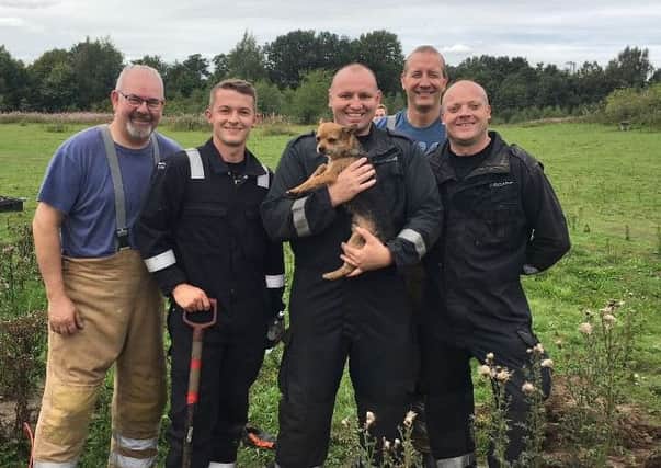 Firefighters rescued the dog trapped in a rabbit burrow. Picture; contributed.