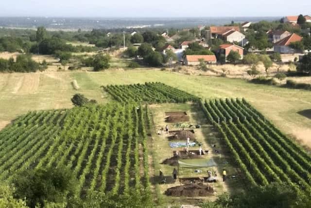Cheese was being made in Europe more than 7,000 years ago. Picture: SWNS