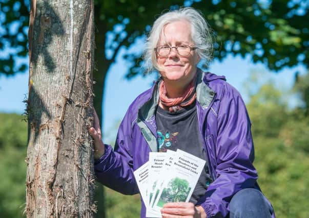 A member of Friends of the Meadows at Brunstfield links park with one of the damaged trees.
