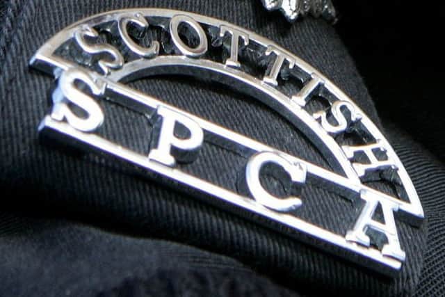Scottish SPCA badge