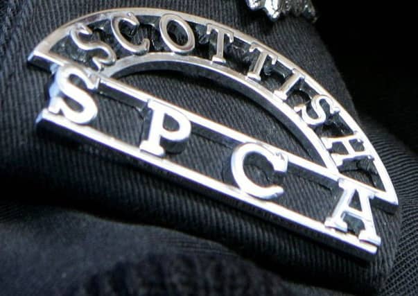 Scottish SPCA badge