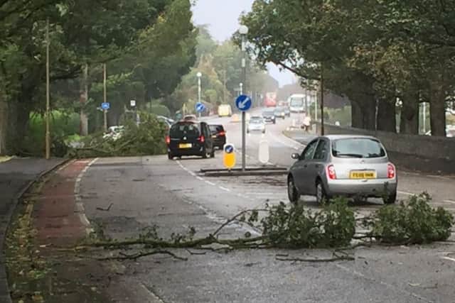 The tree branches were witnessed falling onto the busy section of Queensferry Road in Craigleith