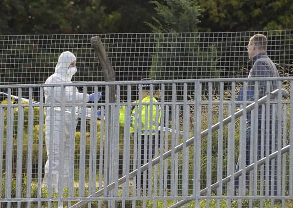 Forensics officers at the scene. Picture: Neil Hanna