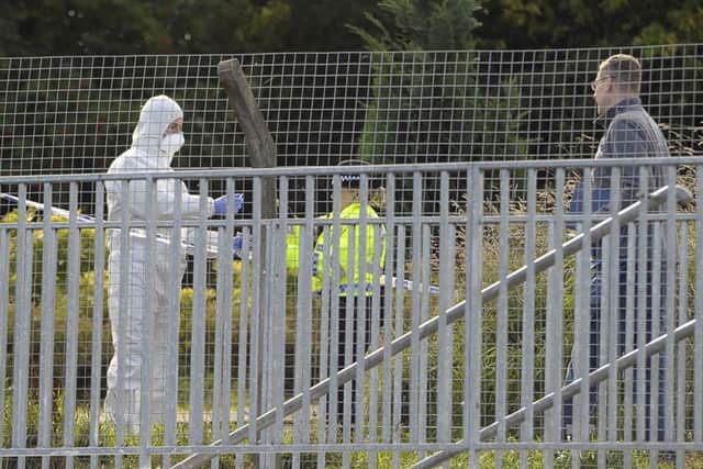 Forensics officers at the scene. Picture: Neil Hanna