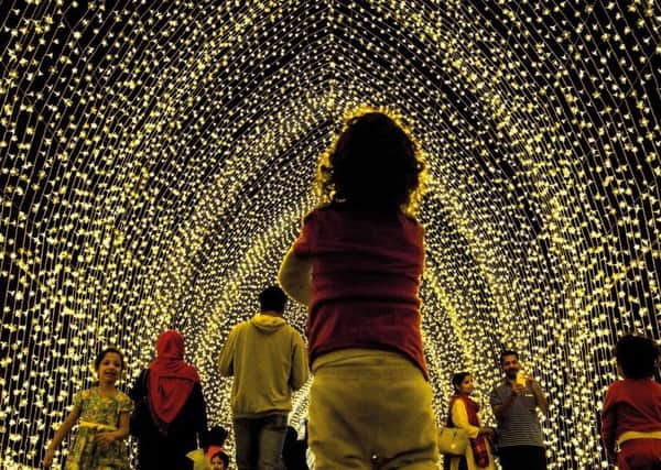 Christmas Lights at the Botanics

Cathedral of Light - with more than 100,000 pea lights