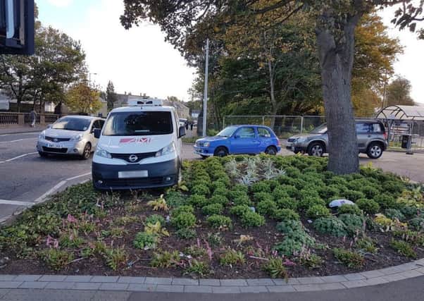 The van was photographed on the flowerbed