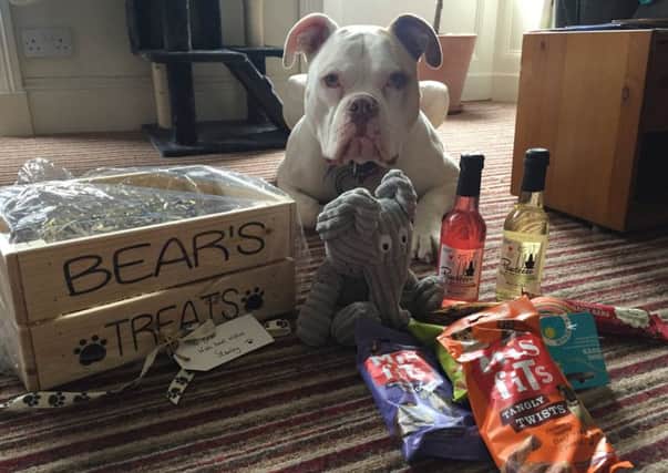 Bear the Dog who was recently refused service at The Balmoral Hotel. The Hotel have apologised and sent Bear a box of treats and a free meal for Bear's owners Gordon Hannah and Euan Davidson who are soon to be married.