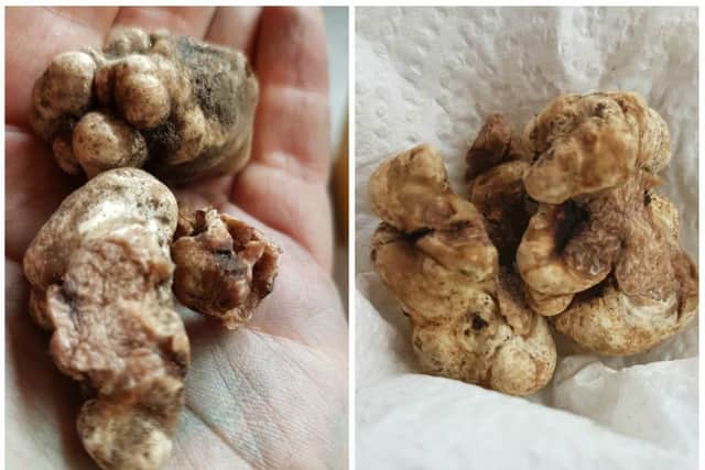 European white truffles can go for tens of thousands of pounds.