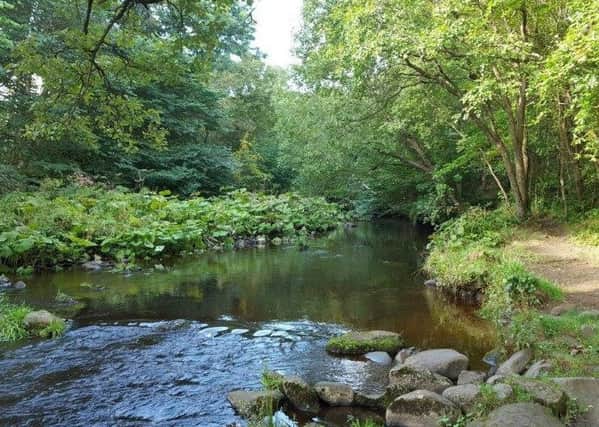 The Water of Leith, near Balerno