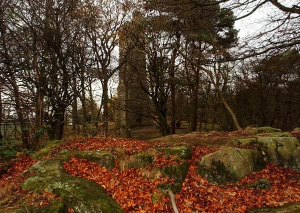 Corstorphine Hill will be included among the city's precious monuments and landmarks earmarked for protection. Picture: Jon Savage