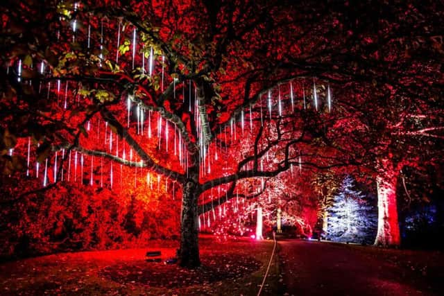 Explore an avenue of electric trees and more