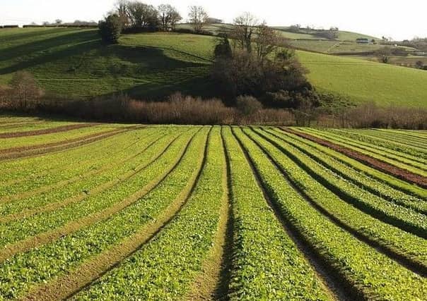 Edinburgh University scientists discover new plant gene.