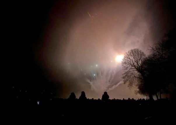 Police made nine arrests on Bonfire Night this year. Pic: JP