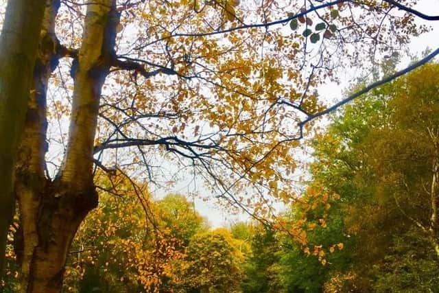 The grounds of Gosford Estate in Longniddry. Pic: Marilyn Wilson