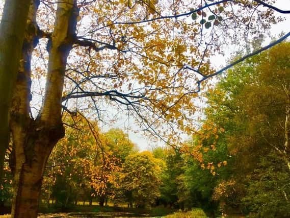 The grounds of Gosford Estate in Longniddry. Pic: Marilyn Wilson