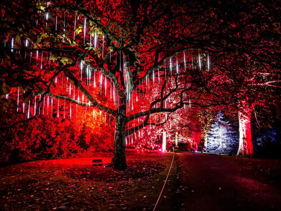 More than a million lights will dazzle at the Edinburgh visitor attraction