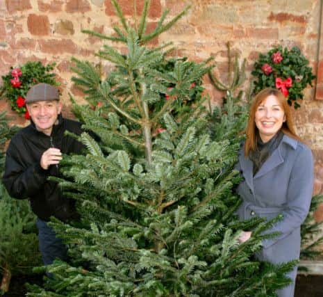 Dalkeith Country Park will be spreading some festive spirit again this year. Pic: JPI