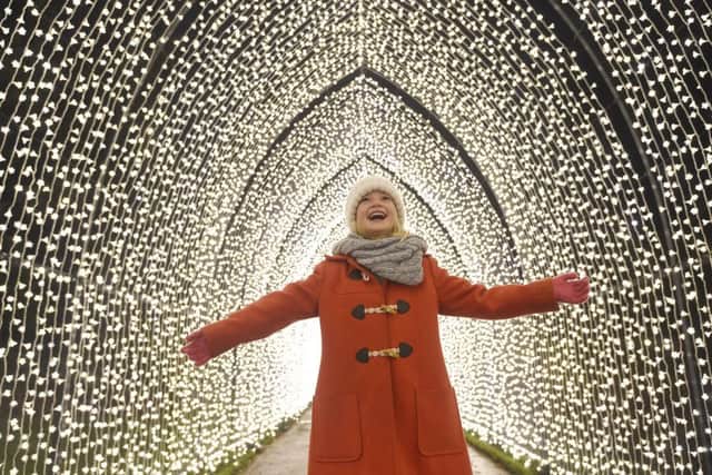 Christmas at the Botanics -  the magical outdoor trail returns for the festive period with over a million twinkling lights. Payton Chalmers (7). Pic: Greg Macvean