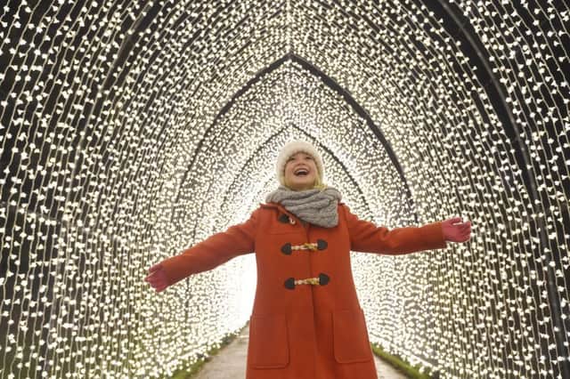 Christmas at the Botanics -  the magical outdoor trail returns for the festive period with over a million twinkling lights. Payton Chalmers (7). Pic: Greg Macvean