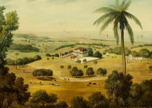 A  19th Century sugar plantation in Jamaica. Neill Malcolm, 12th of Poltalloch,  owned 10 such estates. PIC: Creative Commons.