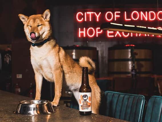 Brewdog's three bars in Edinburgh will all be handing out free bottles of their new beer for dogs