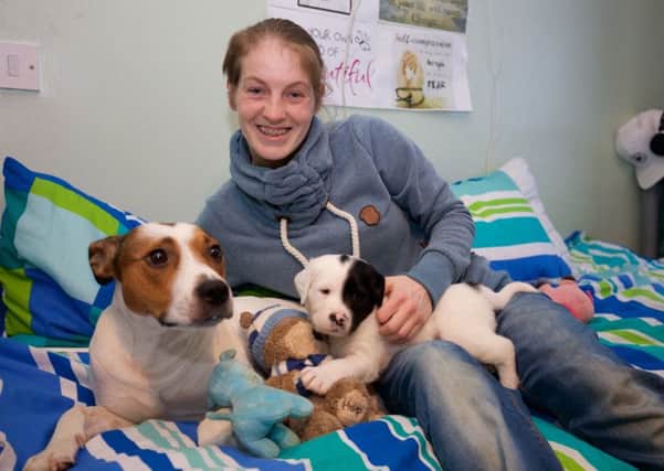 Natasha Robins with her dog Harper and its newborn puppies at Dunedin Harbour. Picture: Gary Baker/PA Wire