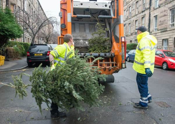 Christmas trees turfed out for disposal are a sorry sight. Picture: Ian Georgeson