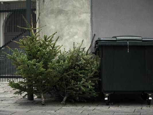 Not sure how to get rid of your Christmas tree in Edinburgh after the big day has been and gone? (Photo: Shutterstock)