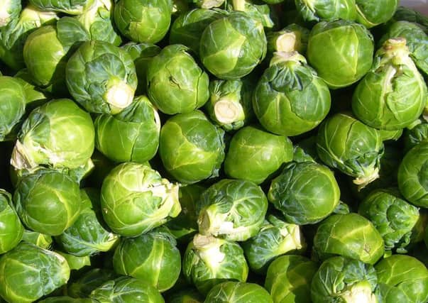 Common name: Brussels sprout