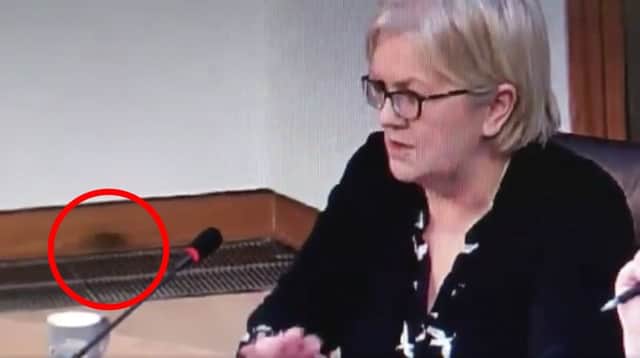 This mouse was caught on camera running along the base of a wall at Holyrood while Scottish Labour's Johann Lamont speaks