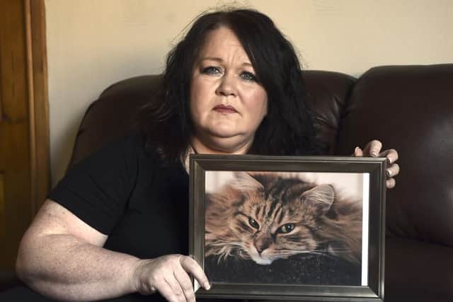 Debbie Gunn is desperate to find therapy cat, Charley. Pic: Lisa Ferguson.